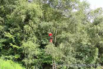 Gleitschirmflieger aus Salzkotten bleibt im Baum hängen
