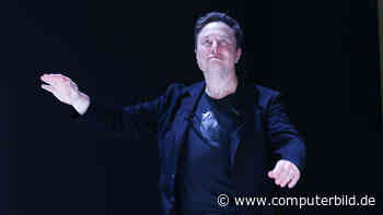 Elon Musk will weiterhin gegen Mark Zuckerberg kämpfen