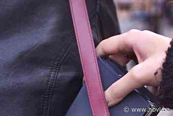 Tongerse veelpleger krijgt 10 maanden cel voor diefstal Delvaux-portefeuille