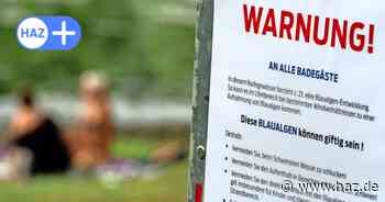 Blaualgen in Hannover: Großer Teich und Dreiecksteich betroffen