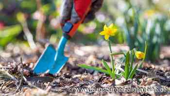 Während sie im Garten arbeitete: 88-jährige Vöhringerin wird bestohlen