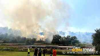 Bruciano sterpaglie e colture, incendio minaccia il centro abitato