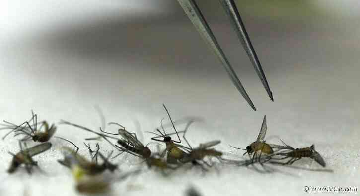 Hays County resident tests positive for West Nile virus