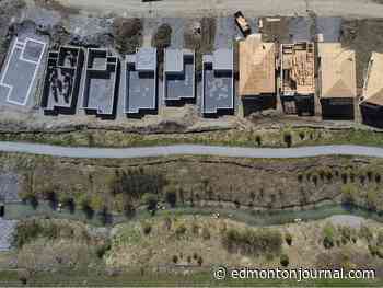 Faulkner: What's trending in Edmonton real estate?