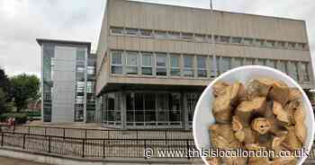 Havering Council owns more art than National Gallery - FOI