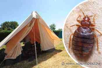 Kazou-kamp geplaagd door bedwantsen: jongeren slapen in tenten in plaats van jeugdherberg