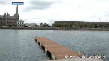 Water Bonapartedok goedgekeurd voor zeven zalige zwemzondagen