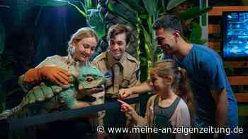 Dino-Replik aus „Jurassic World“-Schau gestohlen