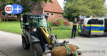 Bombenentschärfung in Kiel-Wellingdorf: Blindgänger in Kleingartenanlage