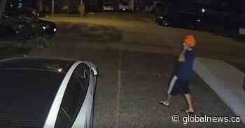 New video released of person of interest in reported stranger sexual assault in Surrey