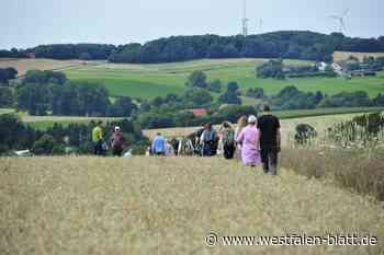Vlotho: Stiftung Westfälische Kulturlandschaft lädt zur Feldexkursion