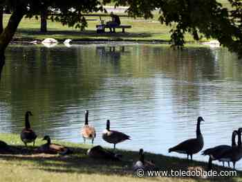 Bowling Green Community Center closes for maintenance