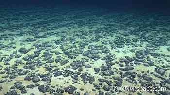 Discovery of 'dark oxygen' from deep-sea metal lumps could trigger rethink of origins of life