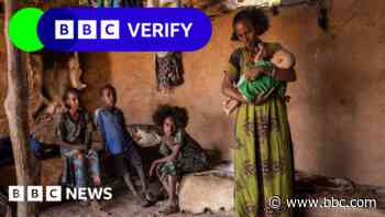 Satellite images and doctor testimony reveal new hunger crisis in Ethiopia