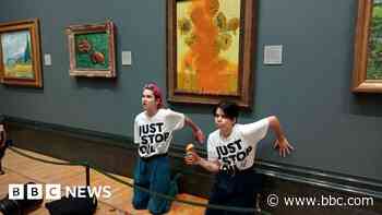 Just Stop Oil pair told to expect jail for throwing soup on Van Gogh painting
