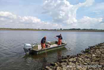 Waterspaarbekken op duurzame manier leeggevist voor renovatie: “1,2 ton vis gevangen”