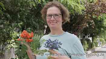 Essbares Braunschweig: Welche Genüsse sich am Wegesrand bieten