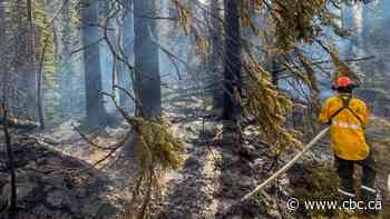 Blaze that damaged Jasper, Alta., townsite was too powerful to stop, fire experts say