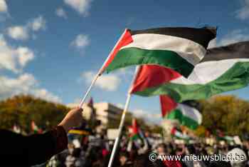 Zestien pro-Palestijnse actievoerders opgepakt op Brusselse Grote Markt en aan Beurs