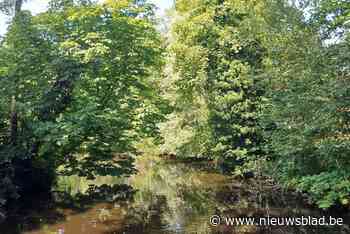 Gemeente en Mariënstede nemen samen vijver onder handen