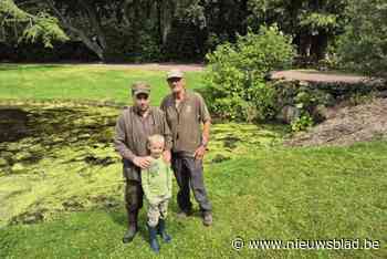 Brandweer redt reetje uit vijver