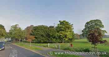 Rosehill Park Sutton police incident: No update on investigation
