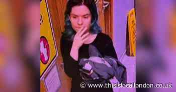 Hackney: Search for missing woman last seen near River Lea