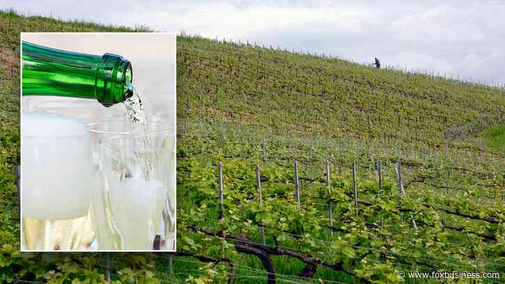 Champagne sales down worldwide in 2024, industry executives cite lack of 'cheer'