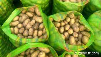 From spud to dud: the US consumer has had enough