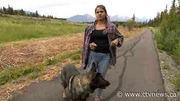 Yukon woman narrowly escapes bear attack, credits hair clip