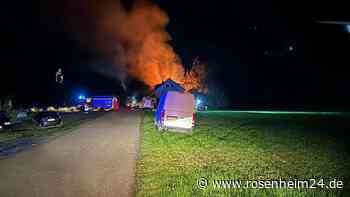 Großbrand auf Hof in Bayern: Zwölf Rinder sterben bei Feuer im Viehstall