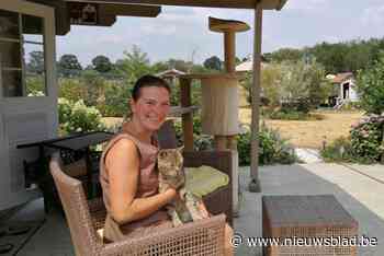 Dierenthuisje viert twintigste verjaardag met opendeurdag