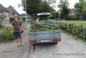 Buurt ziet komst Eendracht Aalst naar voetbalveld in Merelbeke niet zitten: “Die vele supporters zullen ongetwijfeld voor overlast zorgen”