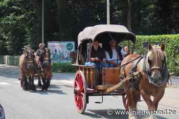 Ann De Bie van Het Aangespannen Trekpaard: “Zeker tijdens dertigste paardenstoet herdenken we ons vader”