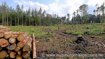 Kahlschlag im Augsburger Land
