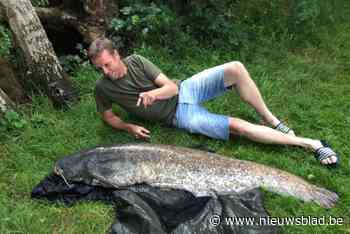 Gunter ving vis van bijna 2 meter in E10-put: “Vrienden gaan daarvoor naar landen als Frankrijk of Spanje”