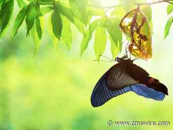 AI in the Workplace: Transforming Customer and Employee Experience