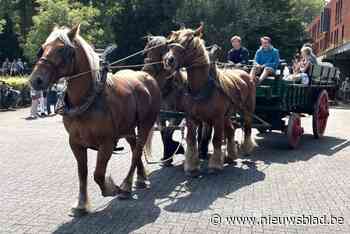 Tijs (21) en Maarten (19) doen met klavertje drie mee aan driedaagse van Het Aangespannen Trekpaard