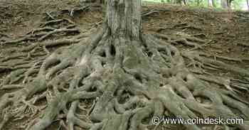 Bitcoin Layer 2 Rootstock Verifies Zero-Knowledge SNARK