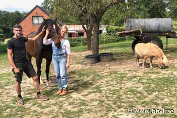 Zorghoeve in Membruggen vangt mensen op die even rust nodig hebben: “Terug naar de essentie”