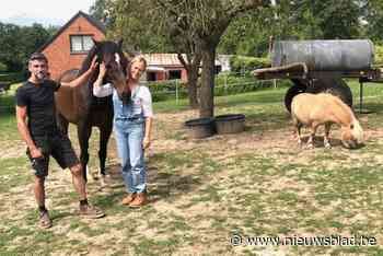 Zorghoeve in Membruggen vangt mensen op die even rust nodig hebben: “Terug naar de essentie”
