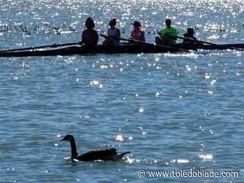 High school rowing coaches see growth opportunity as University of Toledo adds team