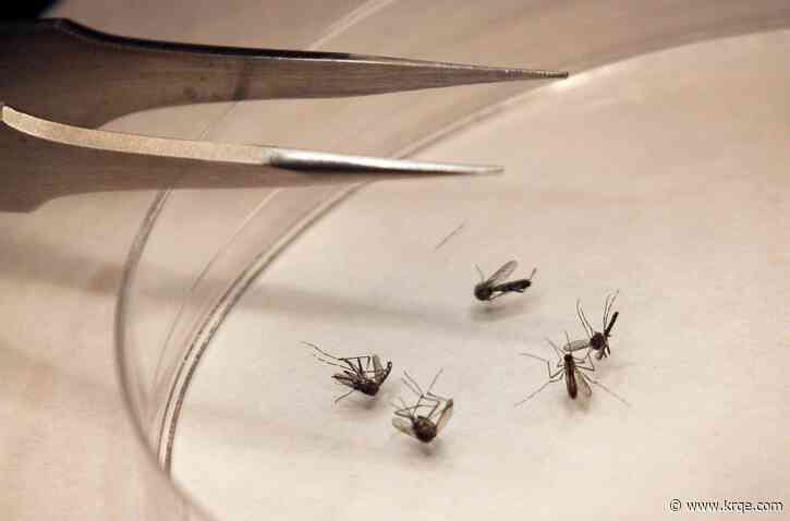 La Plata County sees its first human West Nile case for 2024