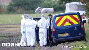 Murder arrest after man, 75, shot dead in field