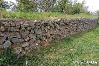 Gemeente Lanaken bouwt reptielenmuur in het Europark, voor muurhagedis