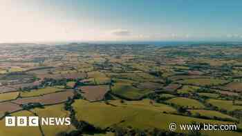 What does it mean to declare a nature emergency?