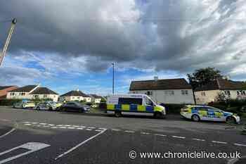 Lemington rooftop stand-off sees police cordon off street as man throws tiles and refused to come down