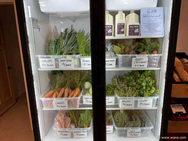 YLNI Farmers Market vendor opens store in Wells County