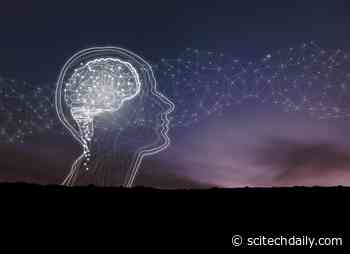 Mayo Clinic Defines New Memory Loss Syndrome Affecting Older Adults