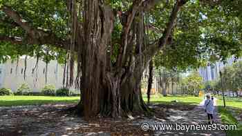 Family of teen lightning strike victim gives update on son